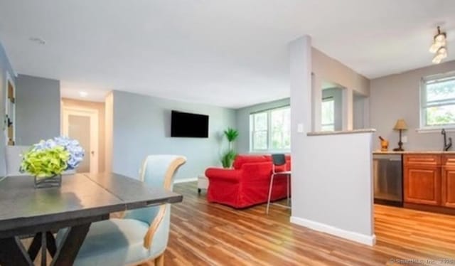 dining area featuring a wealth of natural light and light hardwood / wood-style floors