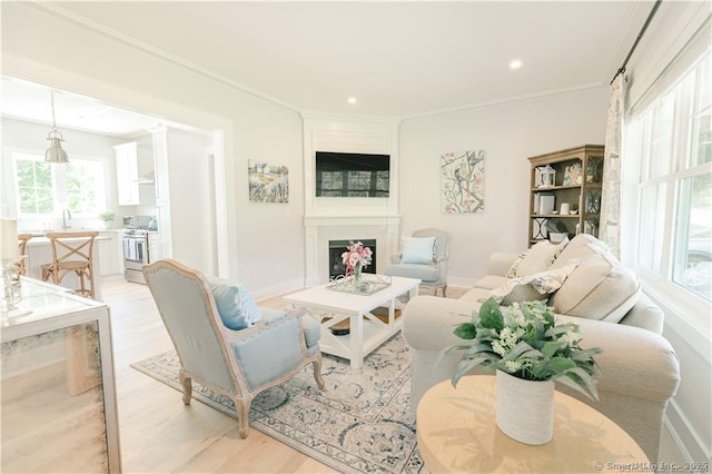 living room featuring light hardwood / wood-style flooring, sink, and ornamental molding