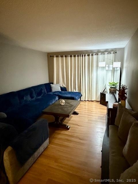 living room with wood-type flooring