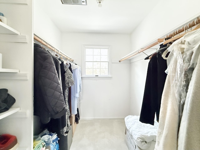 view of walk in closet