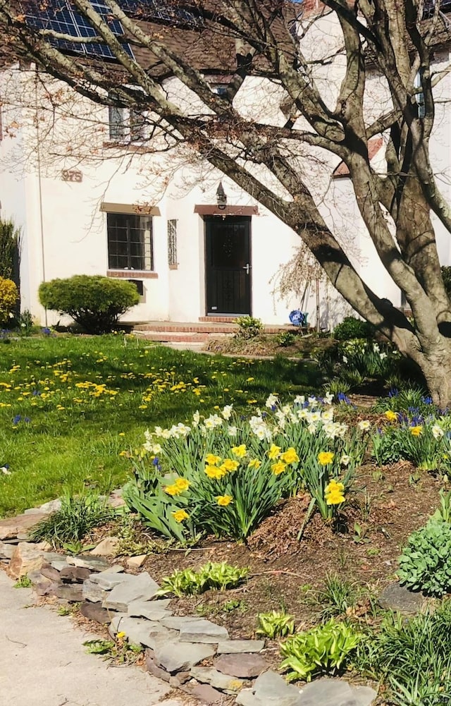 property entrance featuring a yard