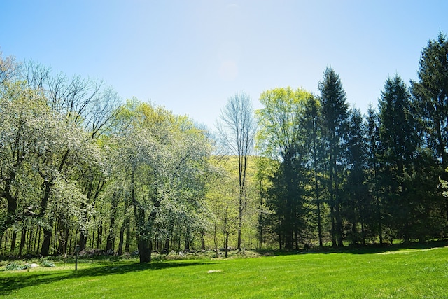 exterior space with a lawn