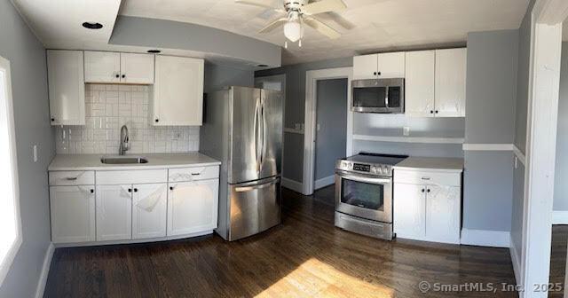 kitchen with white cabinetry, sink, dark hardwood / wood-style flooring, and appliances with stainless steel finishes