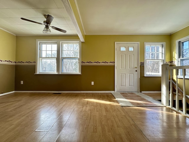 entrance foyer featuring crown molding, ceiling fan, and light hardwood / wood-style flooring