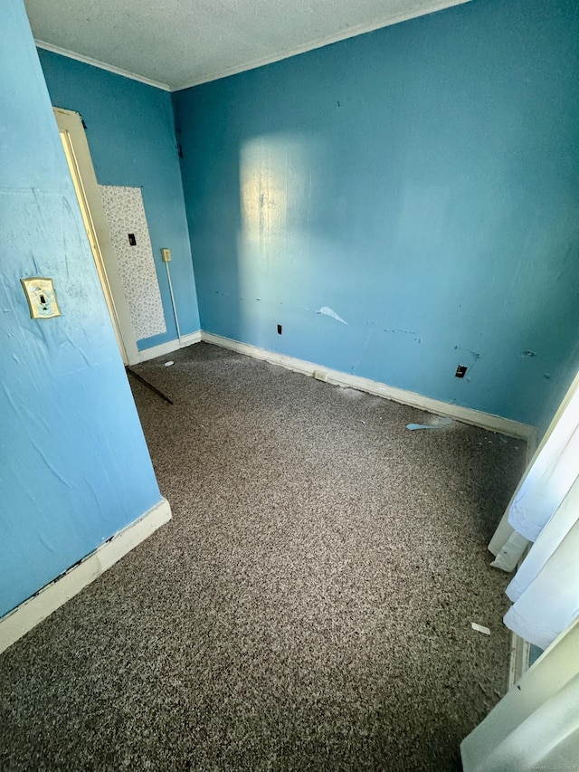 spare room with crown molding and carpet