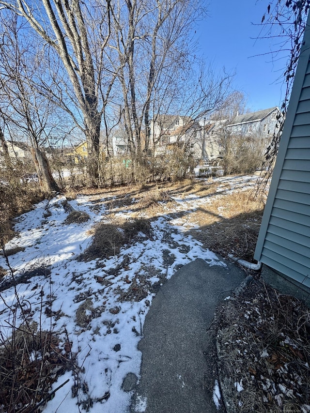 view of yard covered in snow