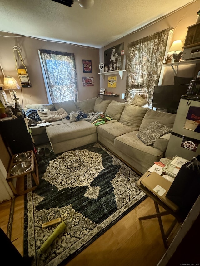 living room featuring hardwood / wood-style floors and a textured ceiling