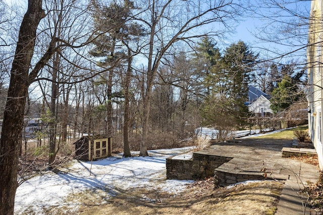 yard layered in snow featuring an outbuilding