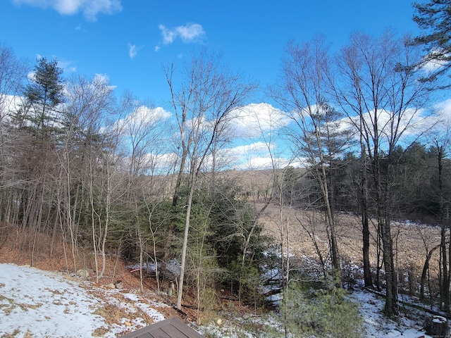 view of snowy view