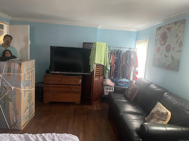 living room with crown molding and dark hardwood / wood-style floors