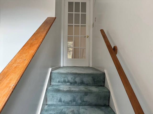 staircase with carpet floors