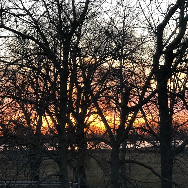 view of nature at dusk