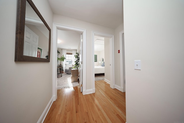 hallway featuring hardwood / wood-style floors