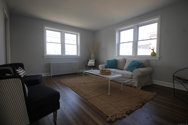 living room with dark wood-type flooring and radiator