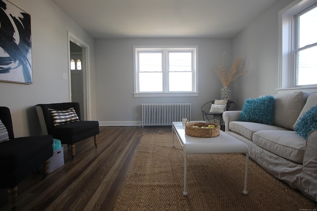 living room featuring radiator and dark hardwood / wood-style flooring