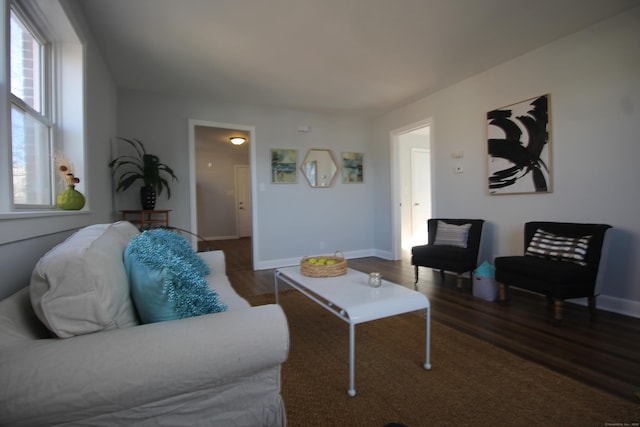 living room featuring wood-type flooring