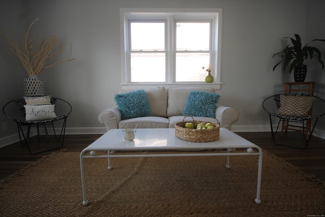 living area with dark wood-type flooring