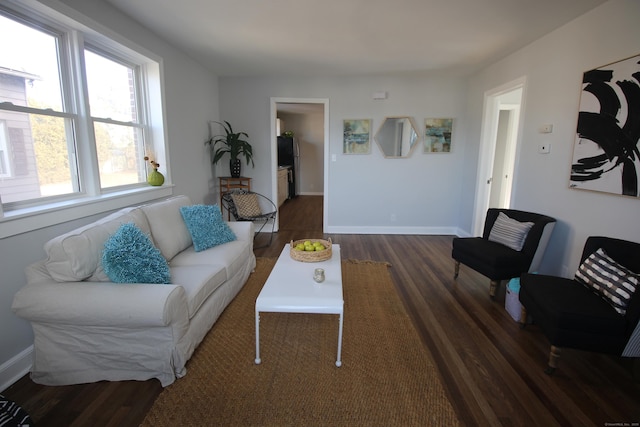 living room with dark hardwood / wood-style floors