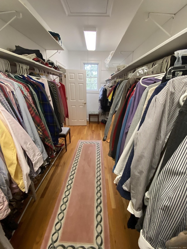 walk in closet with wood-type flooring