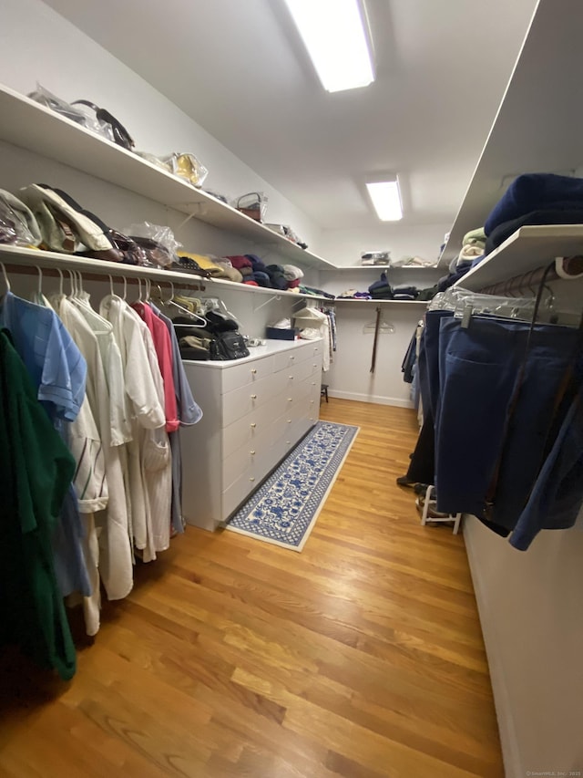 walk in closet with light wood-type flooring