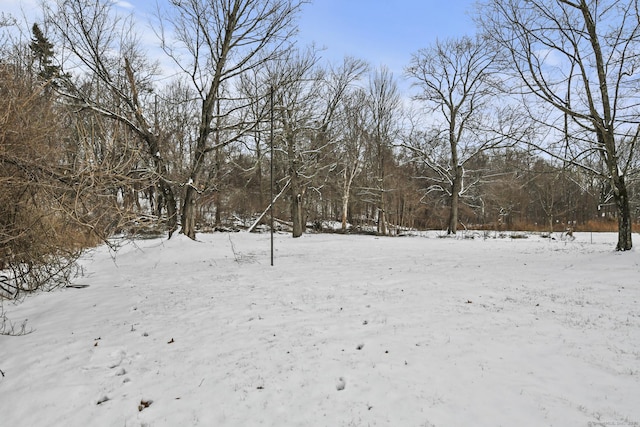 view of yard covered in snow