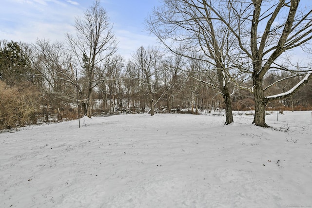 view of snowy yard