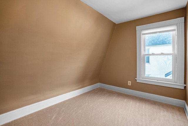 bonus room with carpet flooring