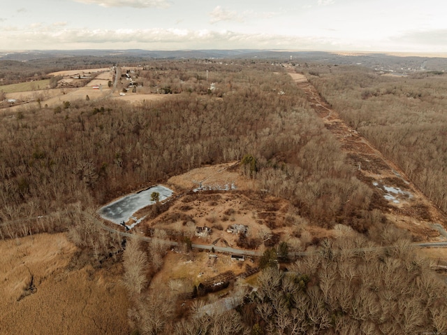 aerial view with a rural view