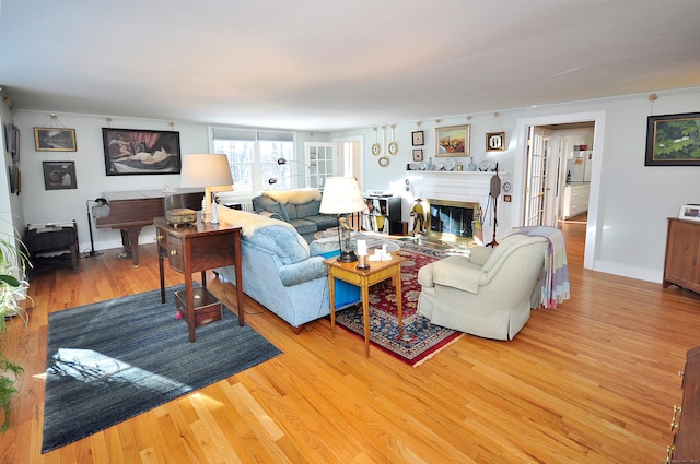 living room featuring hardwood / wood-style floors