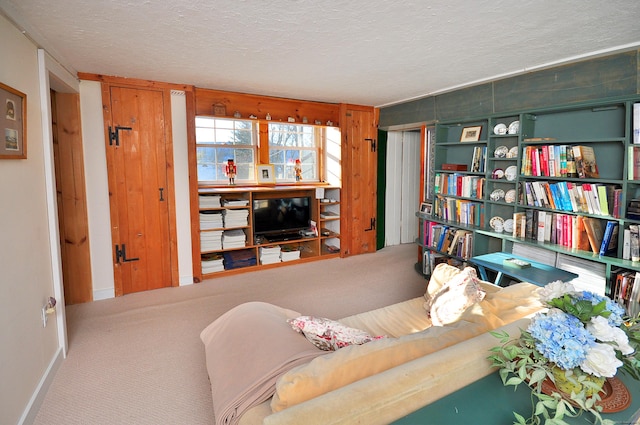 living area featuring a textured ceiling and carpet