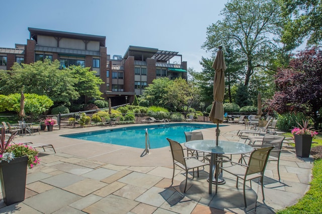 view of swimming pool featuring a patio