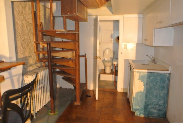 basement featuring dark wood-style flooring and a sink