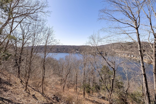property view of water featuring a forest view