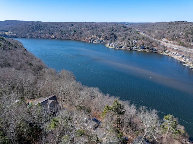 bird's eye view featuring a water view and a wooded view