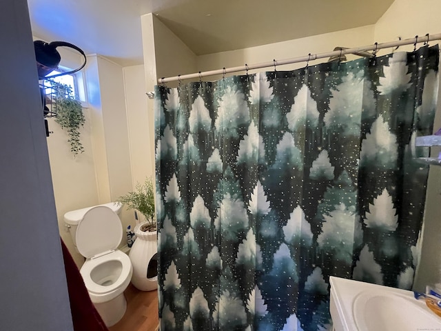 bathroom featuring sink, hardwood / wood-style floors, and toilet