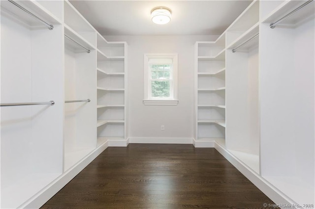 walk in closet featuring dark hardwood / wood-style floors