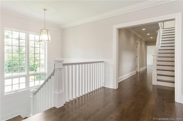 hall with ornamental molding, dark hardwood / wood-style flooring, and a wealth of natural light