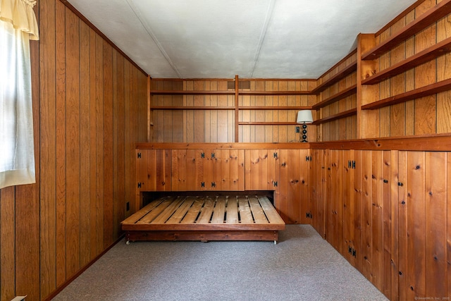 view of sauna / steam room featuring carpet