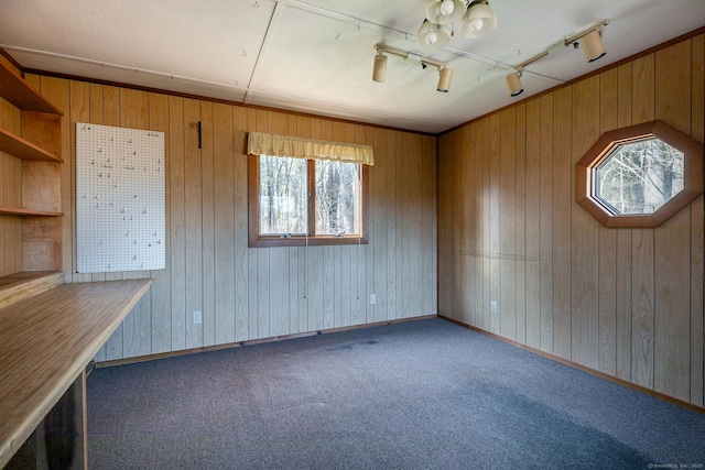 unfurnished room featuring baseboards, carpet flooring, rail lighting, and wood walls