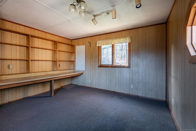 miscellaneous room featuring baseboards, wooden walls, track lighting, and carpet