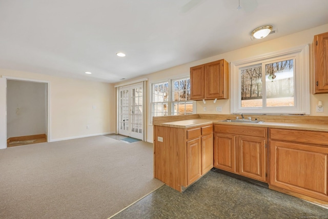 kitchen featuring sink and dark colored carpet