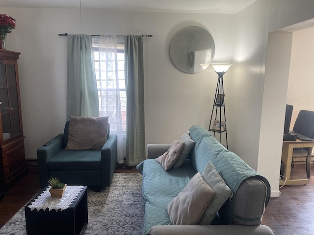 living room featuring dark wood-type flooring