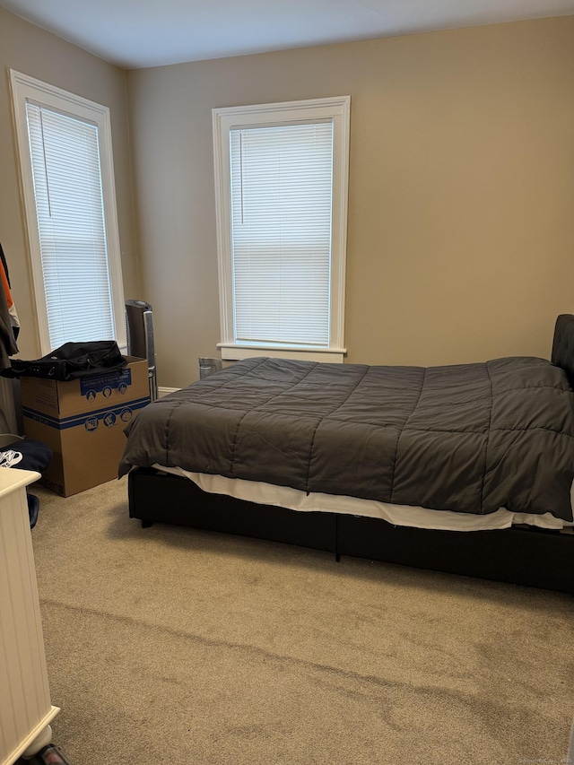 bedroom with carpet flooring