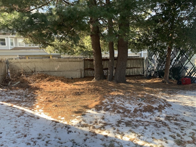 view of yard covered in snow