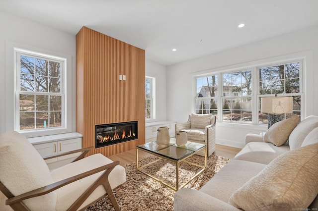 living room featuring wood-type flooring and a large fireplace