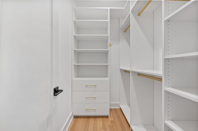 spacious closet with light hardwood / wood-style flooring