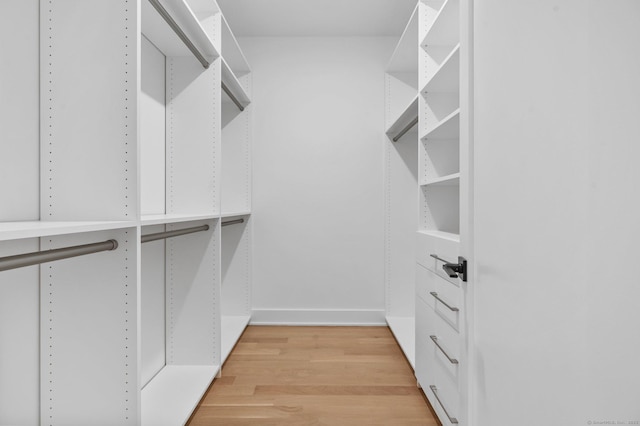 walk in closet with light hardwood / wood-style flooring