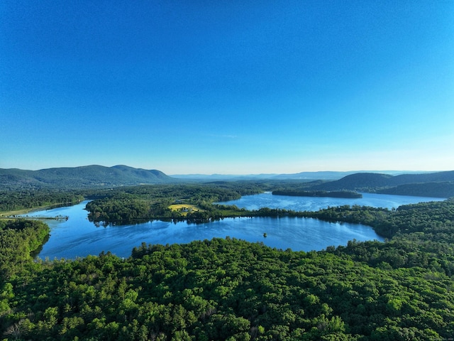 property view of water with a mountain view