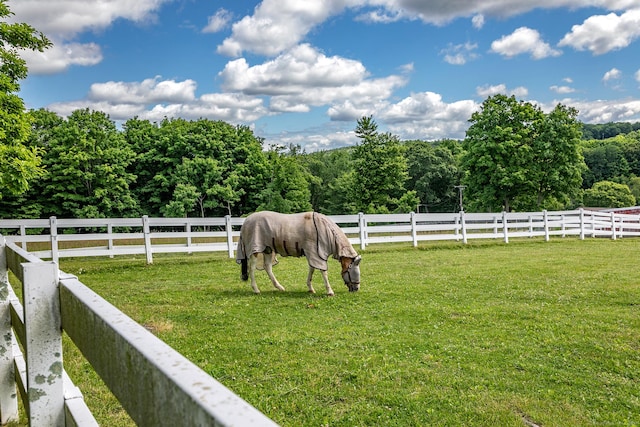 view of yard featuring a rural view