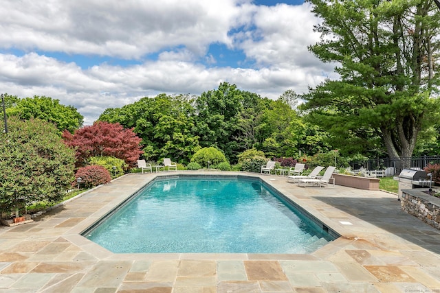 view of pool with a patio and a grill